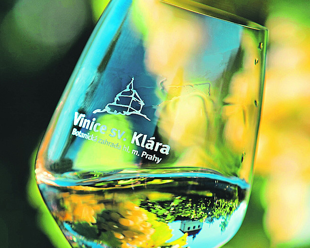 Začíná sezona vinobraní. Akci si najdou milovníci vína ze všech koutů republiky