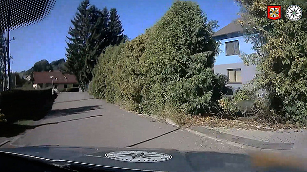 Opilý a zdrogovaný, na tachometru i 150. Řidič při honičce v obci proletěl tújemi