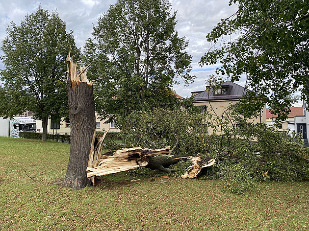 Bouře ve Vysokém Mýtě. Downburst přinesl čtyřcentimetrové kroupy a lámal stromy