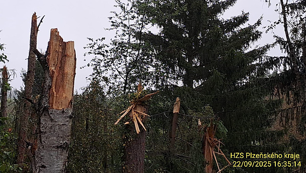Výbuch za letu, nebo požár až po nárazu? Odborníci vyšetřují pád letounu za Plzeňsku