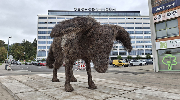 Centrum Zlína hlídá mohutný drátěný pes. Upozorňuje na výstavu Němá tvář