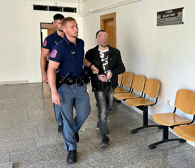 Pětiletý hoch i děda chodili v krvi. Za dvojnásobnou vraždu má otec dítěte doživotí