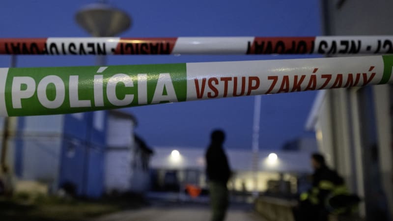 Posun v případě mrtvého novorozence v pračce: Bratislavská policie obvinila matku