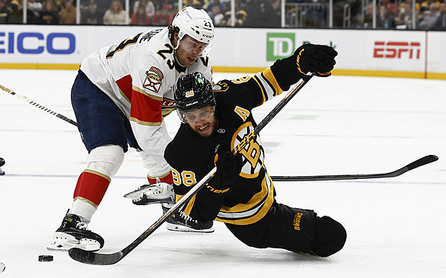 Pastrňák se Zachou byli u dvou tref, Nečas dal gól Vejmelkovi