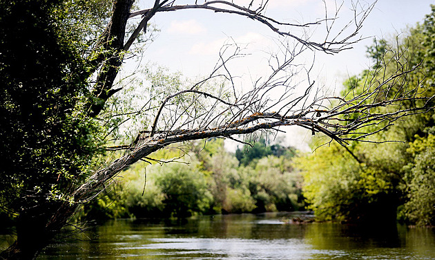 Soutok Moravy a Dyje zůstává chráněnou oblastí. Soud zamítl návrh poslanců ANO