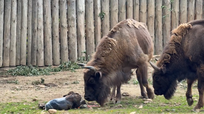 Žáci a studenti si v Česku prodlouží víkend. Kam mohou zajít zadarmo?