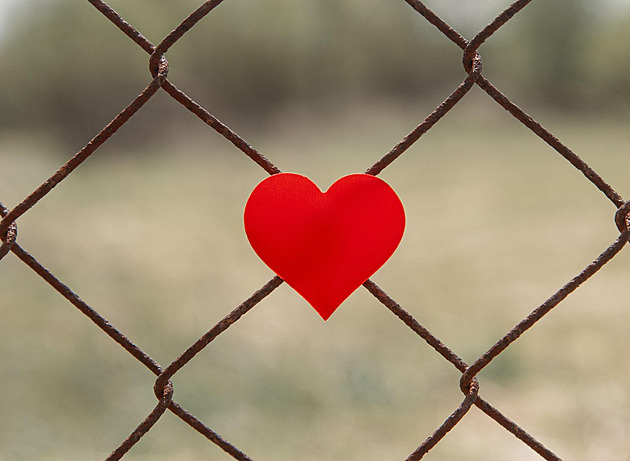 Vrazi jako žádané zboží. TikTokový trend vrhá ženy do náruče vězňů