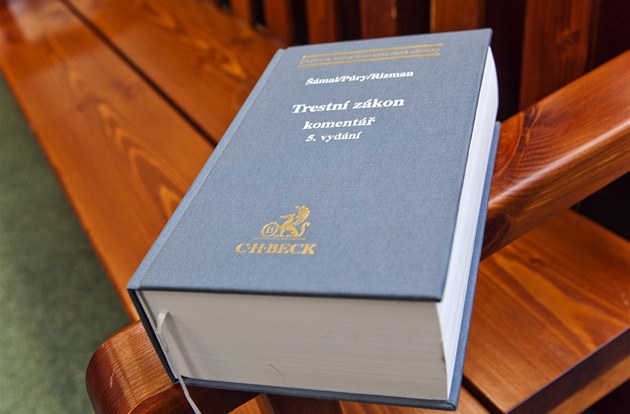 Pokus o vraždu bezdomovce. Soud potrestal nezletilé, domlouvali se na síti