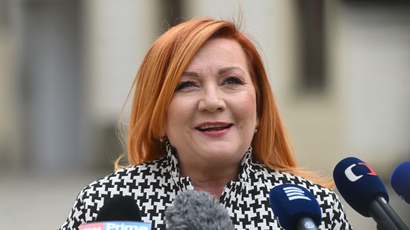 Regulace cen benzinu a nafty bude pokračovat. Schillerová oznámila nový termín