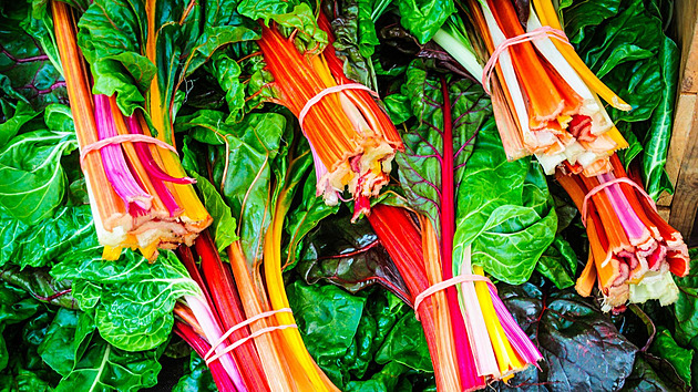 Co se dělá z mangoldu? Až to zjistíte, špenát možná dočista zmizí z vaší lednice
