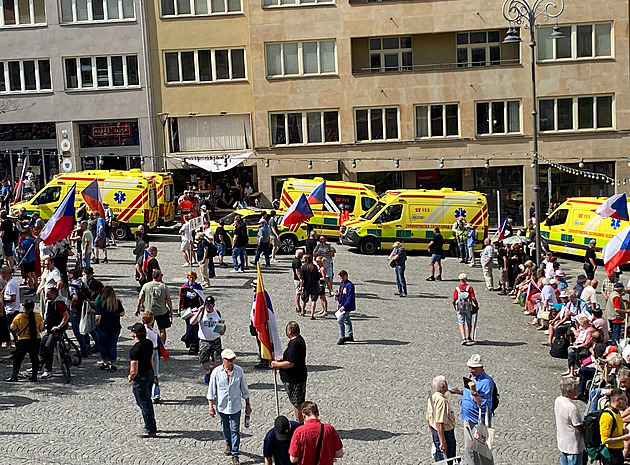 Odpůrci sudetského sněmu připomínali nacistickou minulost. Ve vedru kolabovali