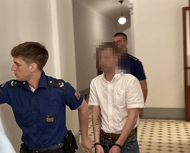 Zneužíval jedenáctiletou školačku, u soudu se omlouval a plakal. Dostal 6,5 roku